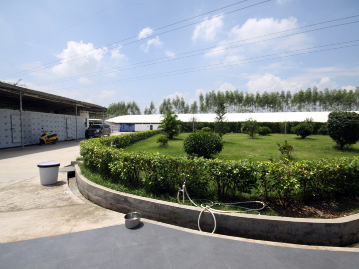 Workshops on the Fish Farm 1 campus