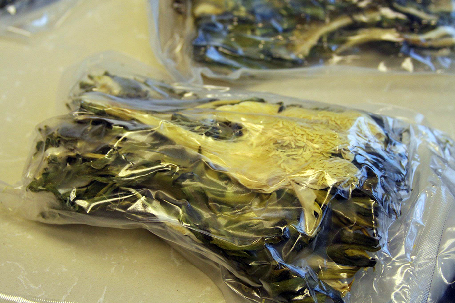 Dried HU flowers in packaging