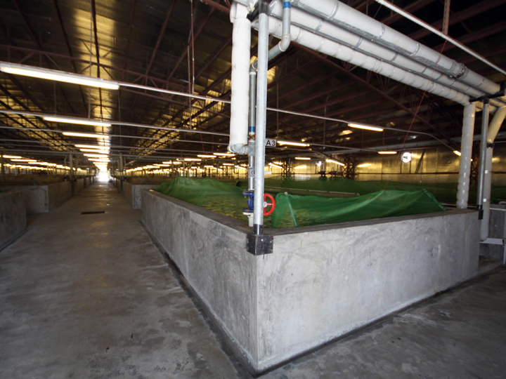 inside the 'superdome'