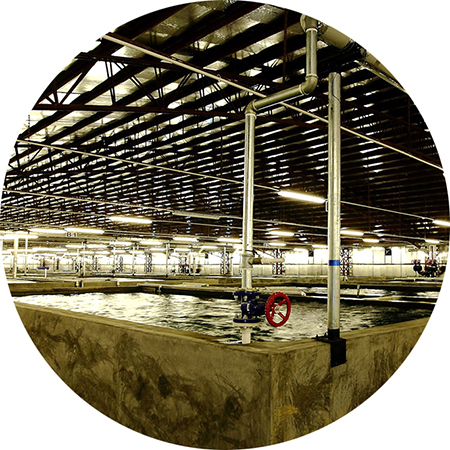 APRAS tanks at Fish Farm 1