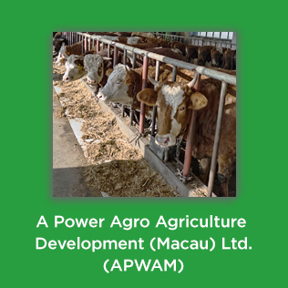 A Power Agro Agriculture Development (Macau) Ltd. (APWAM)