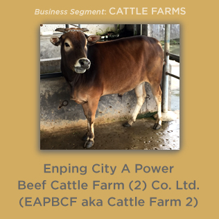 Enping City A Power Beef Cattle Farm 2 Co. Ltd.