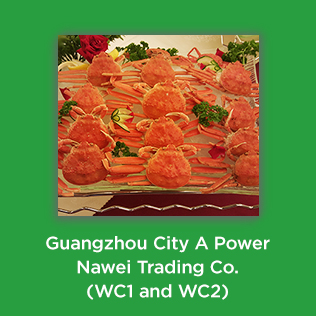 Guangzhou City A Power Nawei Trading Co. (WC1 and WC2)