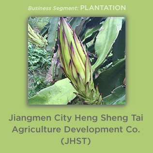 Jiang Men City Heng Sheng Tai Agriculture Development Co. (JHST)