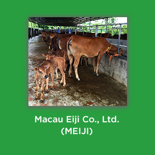 Macau Eiji Co., Ltd. (MEIJI)