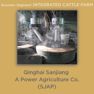 Qinhai Sanjiang A Power Agriculture Co. (SJAP)