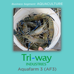 Zhongshan A Power Prawn Culture Farms Development Co. (ZSAPP)