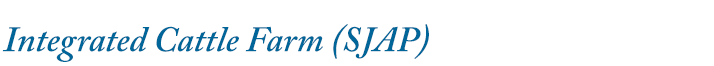 Integrated Cattle Farm (SJAP)